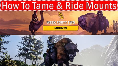 Icarus Forty Two Update How To Tame And Ride The New Buffalo And Moa