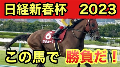 【日経新春杯2024・予想】 歳馬の活躍が目立つハンデ重賞レース！日経新春杯予想・買い目を発表！！ Youtube