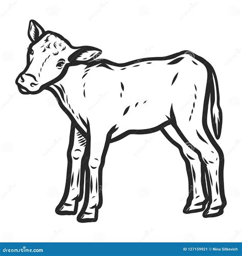 Veal Icon Hand Drawn Style Vector Illustration Cartoondealer