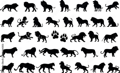 Roaring Lion Silhouette vector Collection the king of the jungle in ...