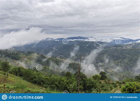 Mist En Wolken Het Landschap Van De Bergvallei Thailand Stock Foto