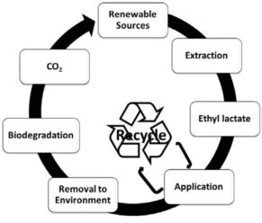 Green solvent : Ethyl lactate_Chemicalbook