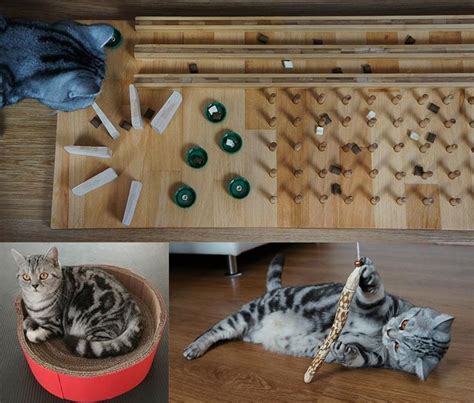 DIY Katzenspielzeuge Katzen Spielzeug Basteln Katzen Spielzeug