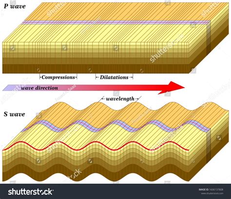 Earthquake Wave Diagram