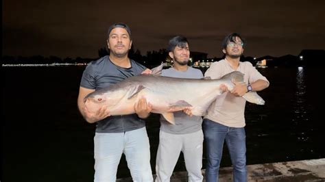 Biggest Fresh Water Fish In The World We Almost Caught It Youtube