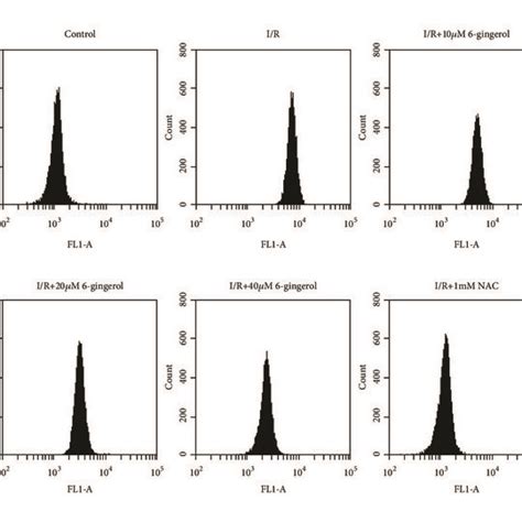 A Effect Of Gingerol On Ros Level B Ros Measured With Fcm C