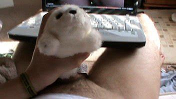 Gay Follando Con Un Peluche XVIDEOS