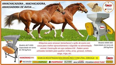 Urco Torena A Marca Macanuda Do Amachacador De Cimm