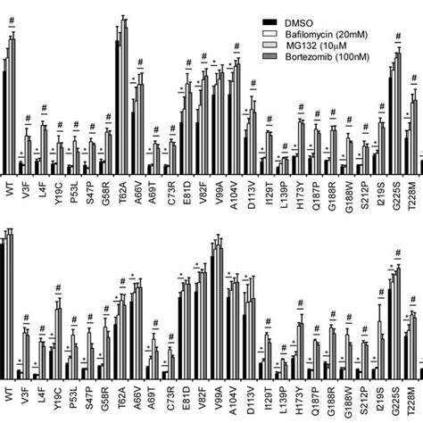 Uros Missense Mutants Trigger Premature Degradation By The Proteasome