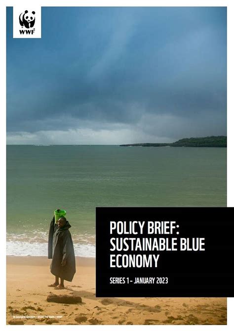 Policy Brief Sustainable Blue Economy Wwf Swio