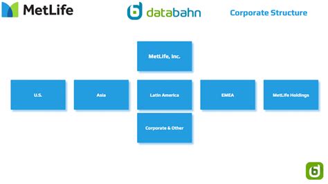 Metlife Org Chart In 2023 Databahn