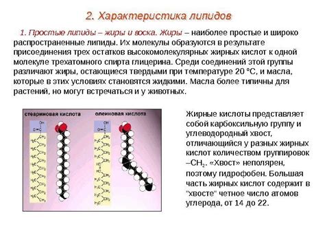 Тема: Углеводы, липиды Задачи : Изучить строение,