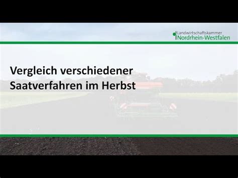 Vergleich Verschiedener Saatverfahren Im Herbst YouTube