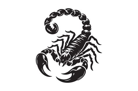Scorpion Art Illustration Free Eps Download 54733653 Vector Art At Vecteezy