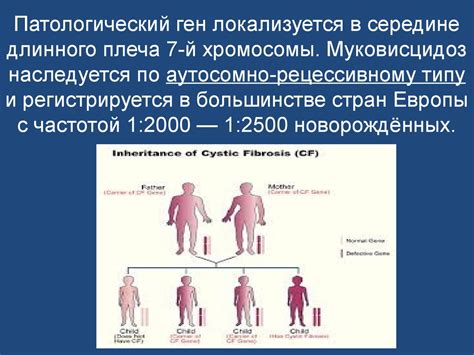 Моногенные заболевания - презентация онлайн