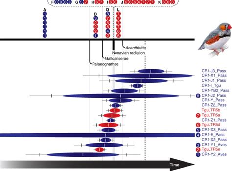 Mesozoic Retroposons Reveal Parrots As The Closest Living Relatives Of