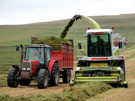 Consider cutting grass for silage early | Ecosyl 