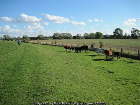 Walking River Aire Flood Bank Martin Dawes Geograph Britain