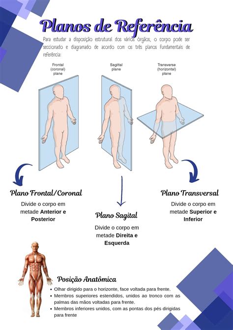 Planos Eixos E Movimentos Cinesiologia Artofit
