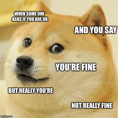 Doge Meme Imgflip