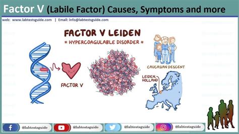 Factor V (Labile Factor) Causes, Symptoms and more - Lab Tests Guide