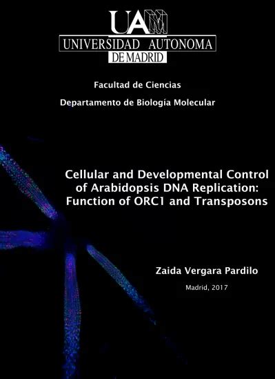 Cellular And Developmental Control Of Arabidopsis Dna Replication