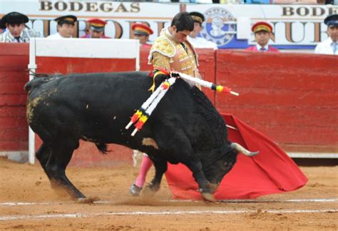 TRAPÍO TOROS: TOROS BRAVOS PARA FERMÍN RIVERA, YA (México, crónica de ...