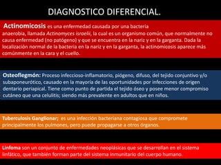 Tuberculosis Ganglionar Ppt Descarga Gratuita