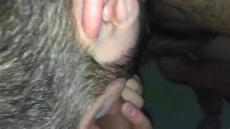 Xxx Gay Amateur Amateur Porn Xhamster