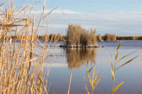 Nationalpark Neusiedler See Seewinkel wächst Raiffeisenzeitung