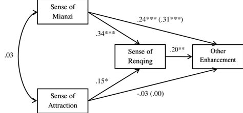 The Mediation Path Model Predicting Other Enhancement N