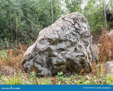 Single Large Boulder In The Forest Stock Image Image Of Geological