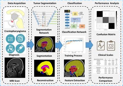 Frontiers Deep Learning Based Automatic Segmentation And