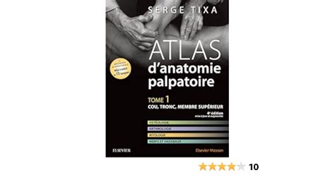 código Morse Hábil Ceder anatomie palpatoire tixa comestible