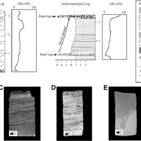 A Typical Vertical Profile And Gamma Ray Log Of The Fluvial Channel