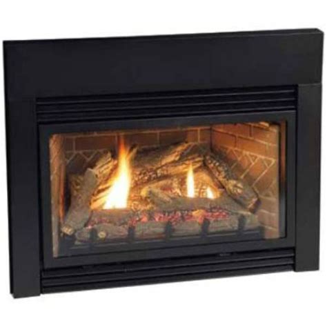 Direct Vent Fireplace Insert Dv25in73lp Liquid Propane Free Image Download