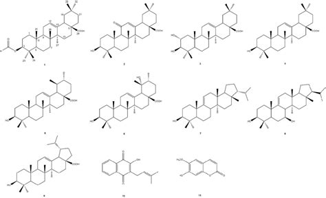 Structures Of Isolated Compounds 1 11 Download Scientific Diagram