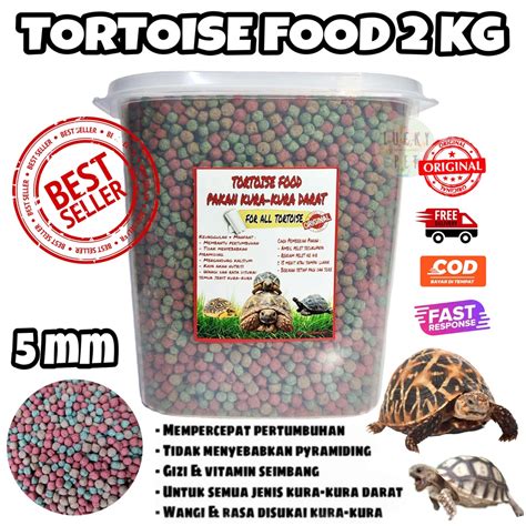 Jual 2 KG Makanan Kura Kura Darat Sulcata Sulkata Pardalis Indian