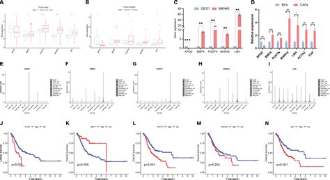 Frontiers Construction Of A Hypoxia Immune Related Prognostic Panel