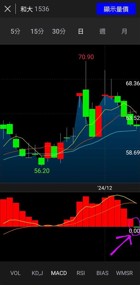 和大1536 今日即時股價與歷史行情走勢