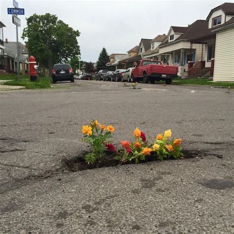 Pothole Flowers Beautify Unsightly Holes With Unique Flower Protest Art