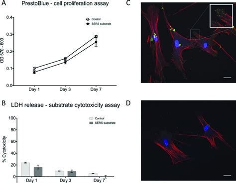 A Results For Prestoblue Cell Proliferation Assay For Bm Mscs Cultured