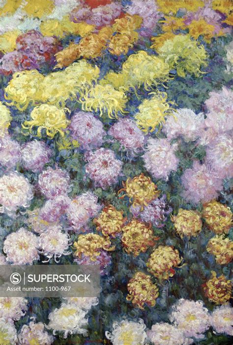 Massif De Chrysanthemes 1897 Claude Monet 1840 1926 French Oil On