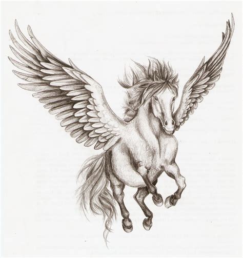 Pegasus Drawing At Getdrawings Free Download