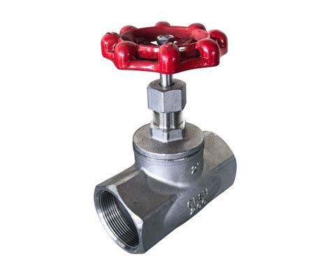 Stainless Steel Globe Valve With Fandf Bsp Valvelink