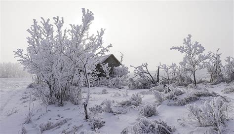 Jim Cox Photos: Hoar-frost Morning