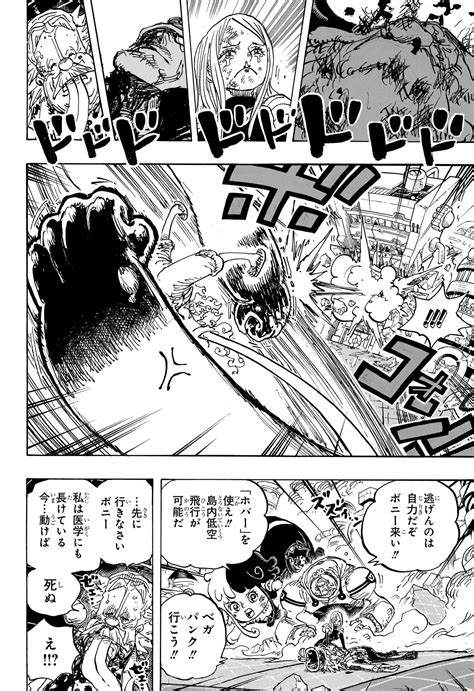 One Piece Chapter 1107 Rawkuma