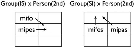 schematic representation     condition left