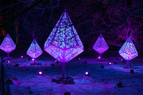 The Morton Arboretum's Illumination Lights Show Will Be a Drive-Through ...