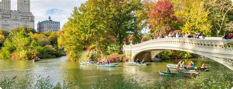 york city   attractions activities